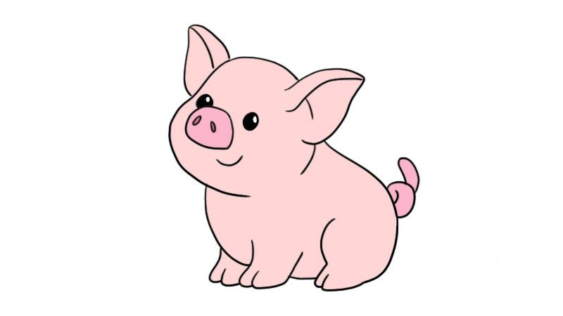 小猪怎么画小猪简笔画