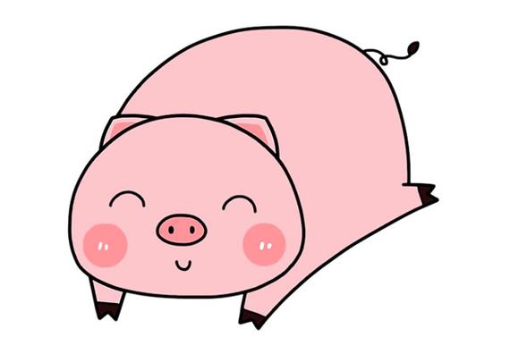 卡通的可爱小猪简笔画教程