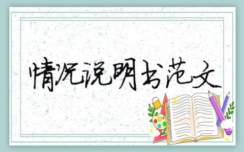 情况说明书范文 公司财务情况说明书范文精选6篇