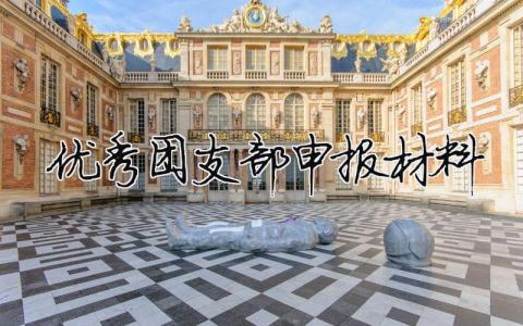优秀团支部申报材料 优秀团支部申报材料 19篇